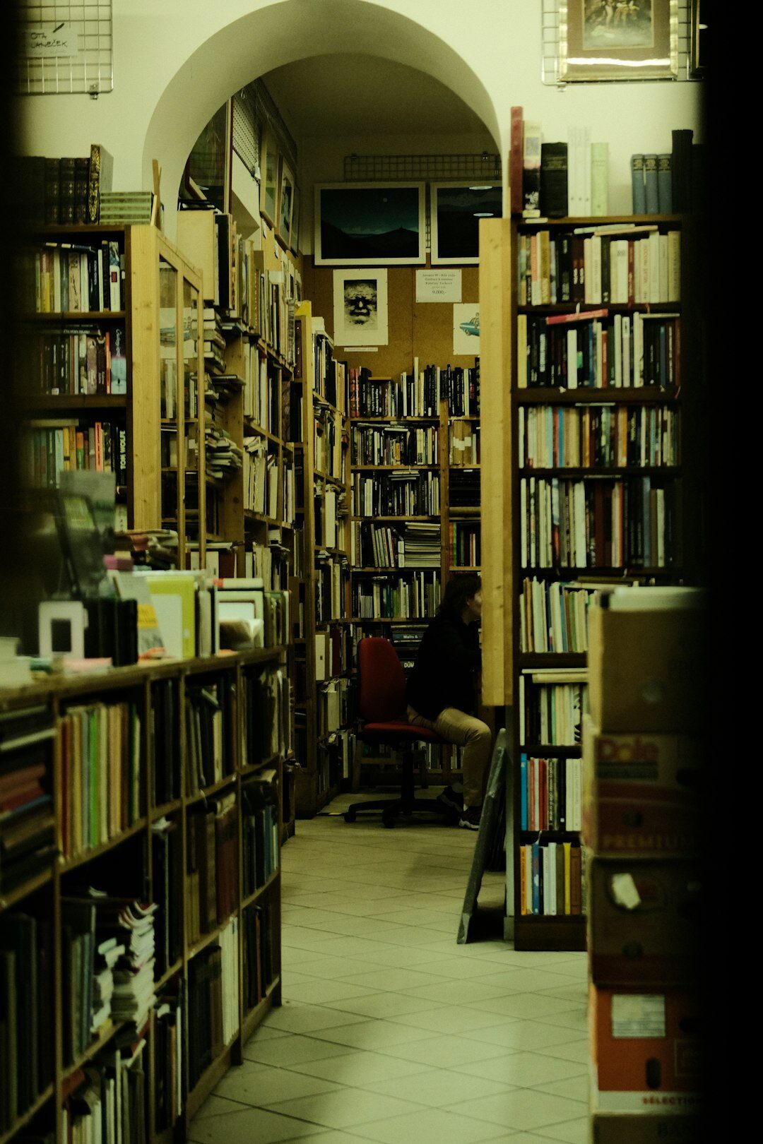 Tall old library aisle filled with antique books