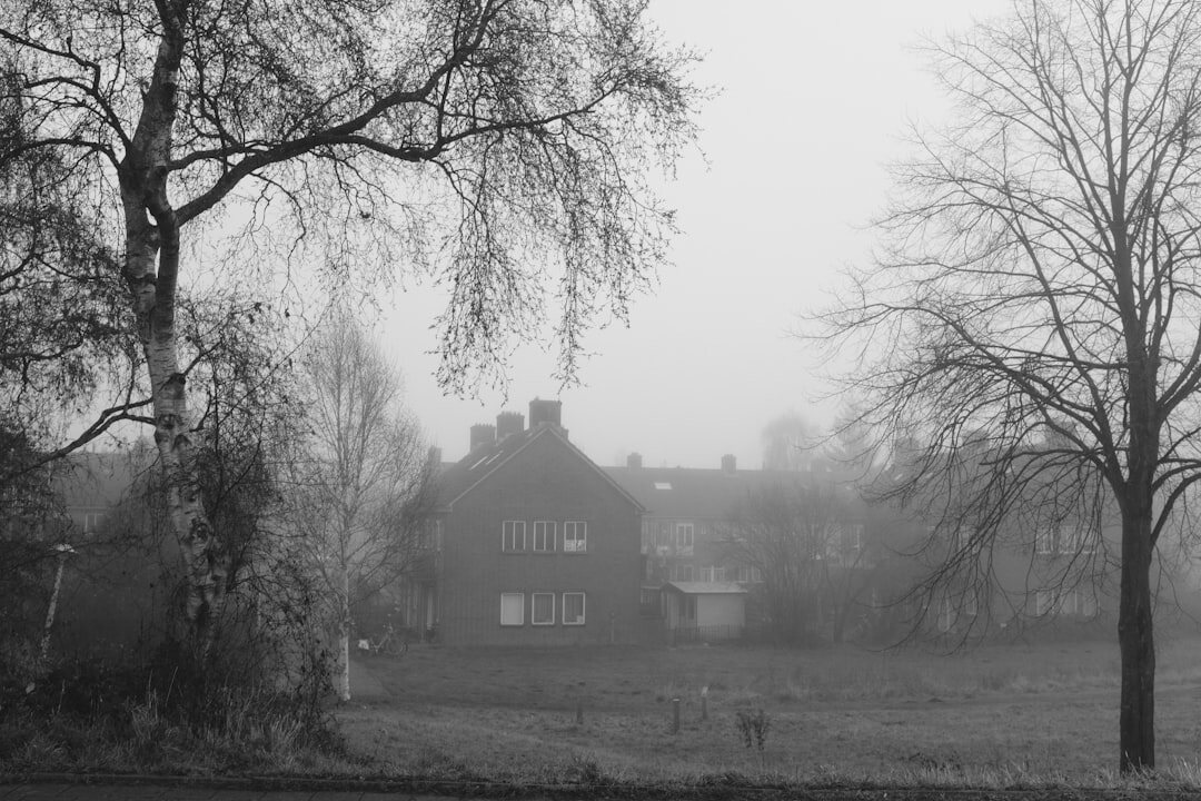 Old stone manor house surrounded by fog and bare trees